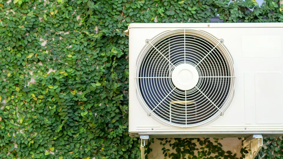 Hvid varmepumpeenhed med cirkulær ventilator monteret på efeubegroet væg.