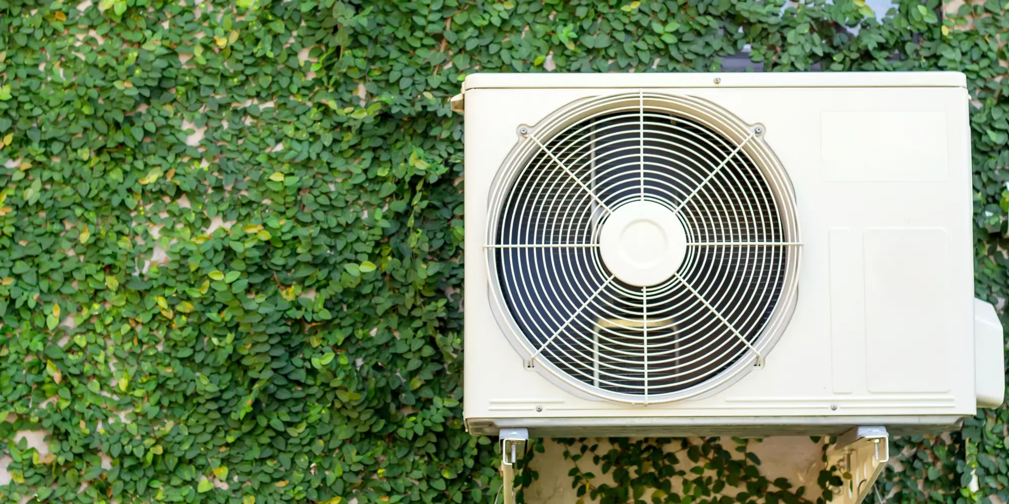 Hvid varmepumpeenhed med cirkulær ventilator monteret på efeubegroet væg.