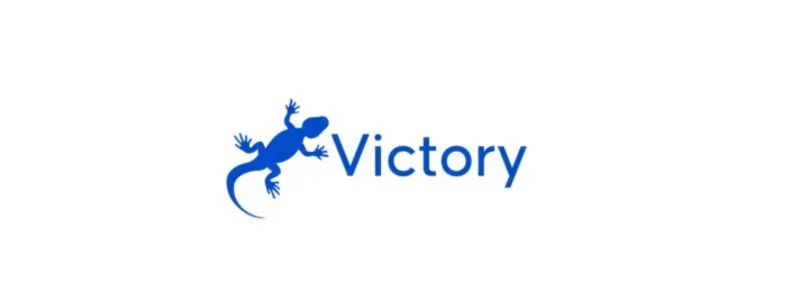 Victory S.r.l logo
