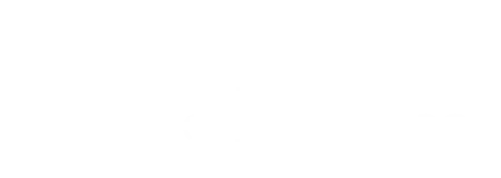 Visioli Spa logo
