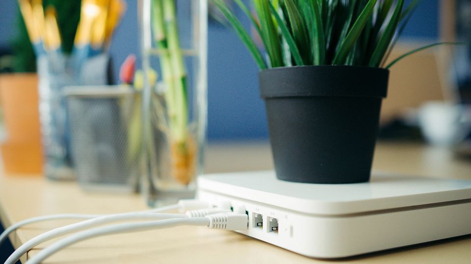 Bilde av en router med en grønn plante på toppen.